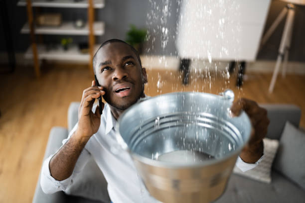 Best Carpet water damage restoration  in Canton, SD