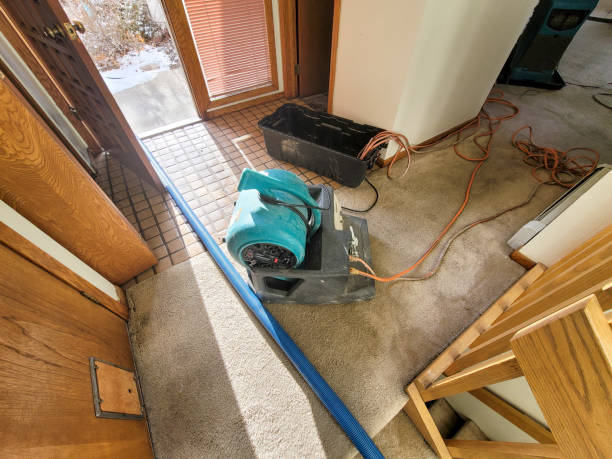 Best Emergency water damage restoration  in Canton, SD