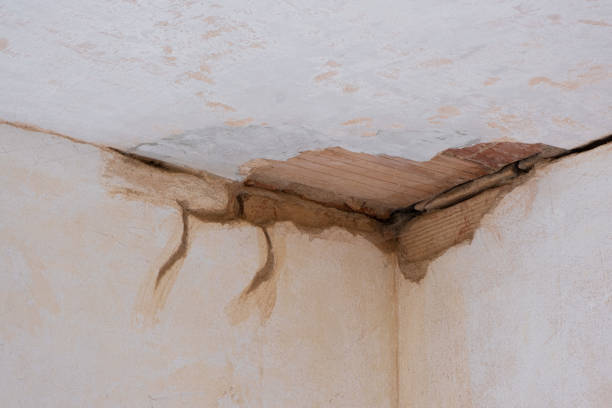 Best Carpet water damage restoration  in Canton, SD