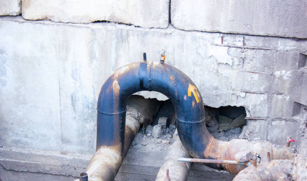 Best Water damage restoration mold remediation  in Canton, SD