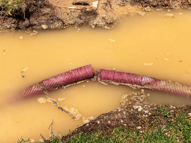 Best Flood damage cleanup  in Canton, SD