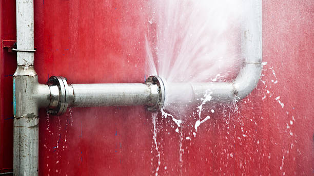 Best Water damage cleanup near me  in Canton, SD